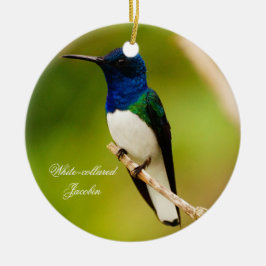 Retrato de Ornamento Redondo de Contemplação