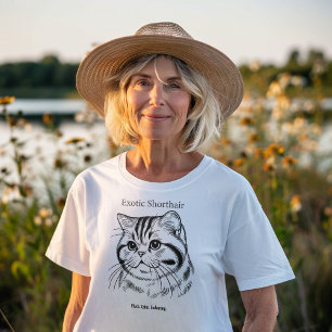 Retrato de Shorthair Exótico