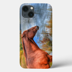 Retrato de Sorrel Mare & Scenic Lake Equine Foto