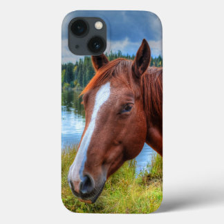 Retrato de Sorrel Mare & Scenic Lake Equine Foto