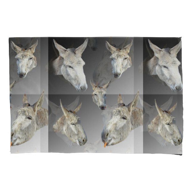 Retrato De Um Donkey, (Frente)