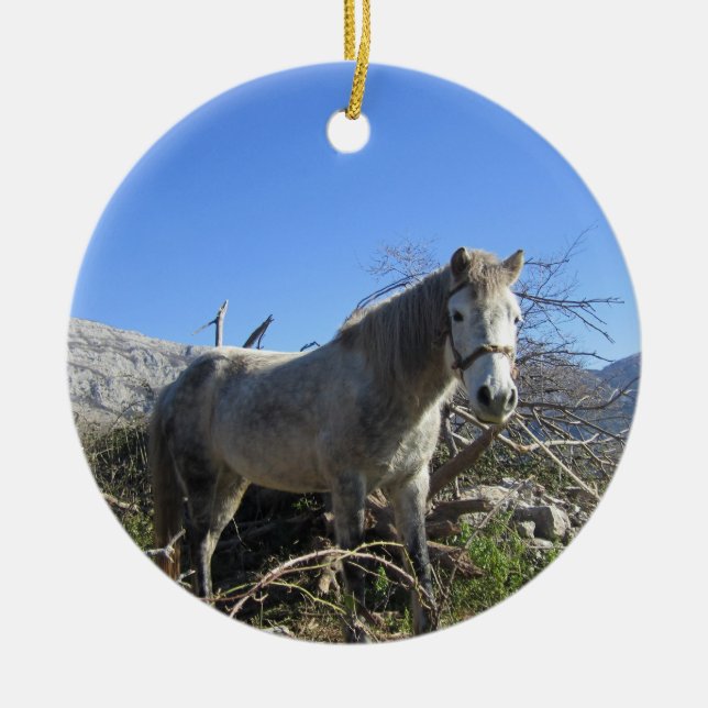 Retrato de um Enfeite de Cavalo (Frente)