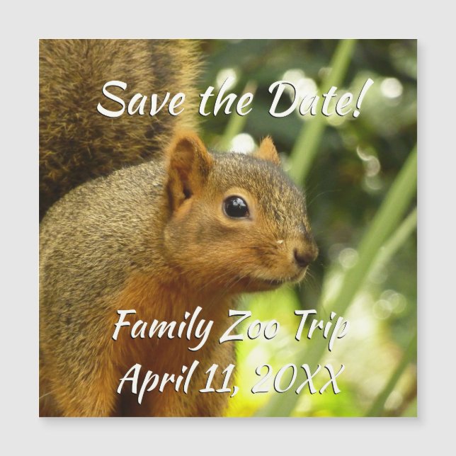 Retrato de um Esquilo Fotografia Animal (Frente)