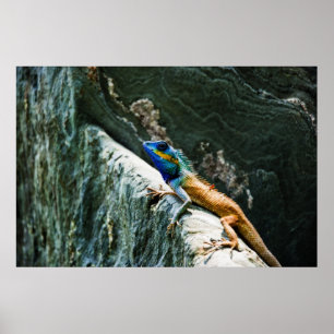 Retrato de Um Jardim Oriental Lizard - Poster