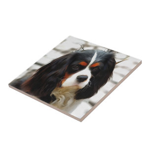 Retrato De Um Rei Charles Cavalier Spaniel