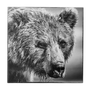 Retrato de urso pardo