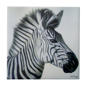 Retrato de Zebra Preto e Branco