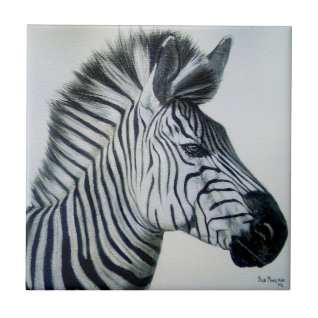Retrato de Zebra Preto e Branco (Frente)