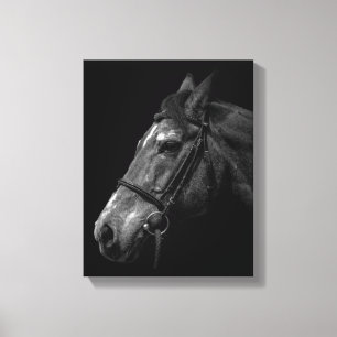 Retrato do cavalo - canvas