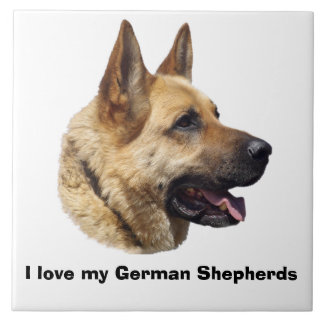 Retrato do German shepherd alsaciano