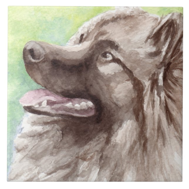 Retrato em Aquarela de Keeshond (Frente)