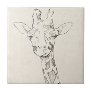 Retrato Girafa  Esboço