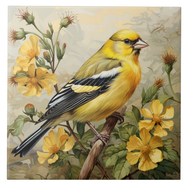 Retrato Goldfinch Americano, Amarelo e Negro (Frente)