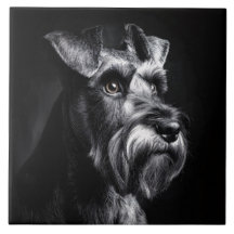 Retrato Monocromático de Schnauzer