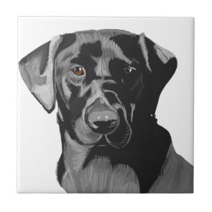 Retrato preto Labrador