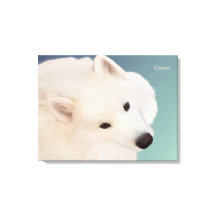 Retrato Samoyed 24." x 16."x 1,5" Canvas