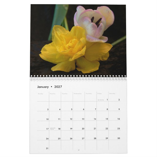 Retratos de Flores - Calendário 2027 (Jan 2027)