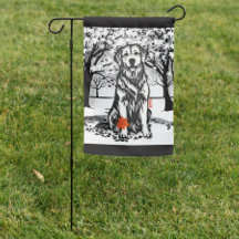 Retriever de Ouro GLOBAL TRANQUIL