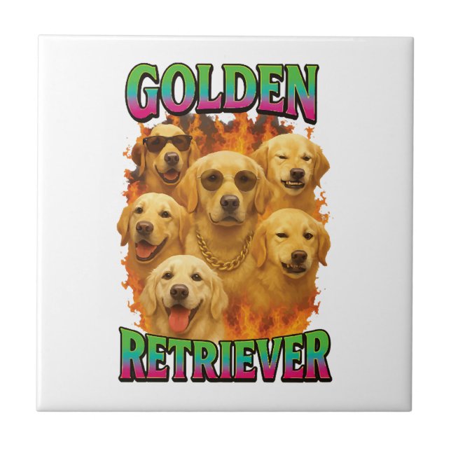 Retriever Dourado (Frente)
