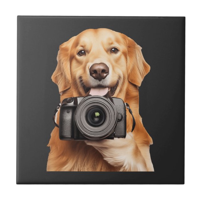 Retriever Dourado (Frente)