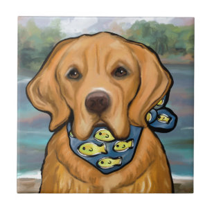 Retriever Dourado