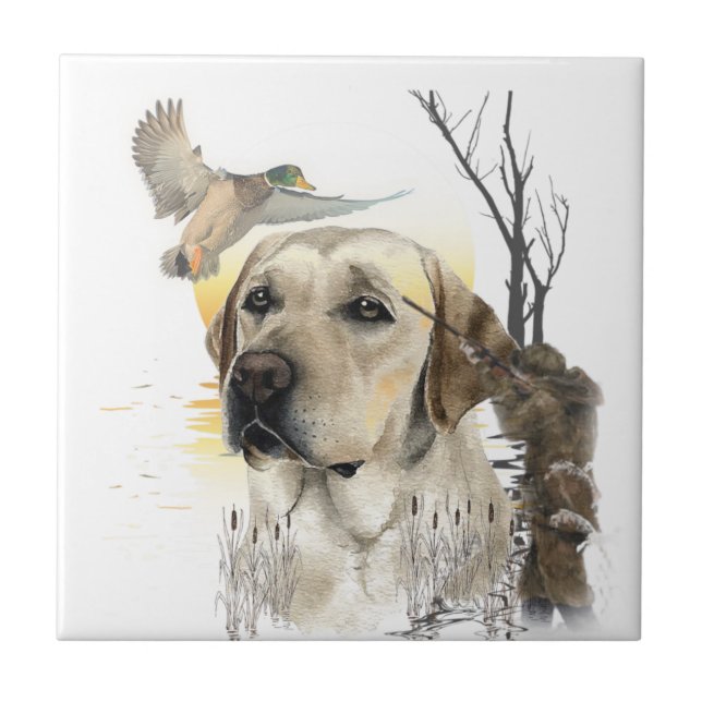  Retriever Labrador  (Frente)