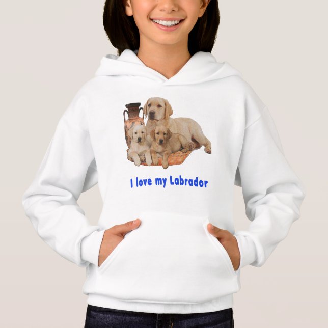 Retriever Labrador (Frente)