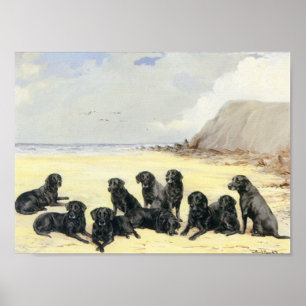 Retrievers de Labrador no impressão da praia