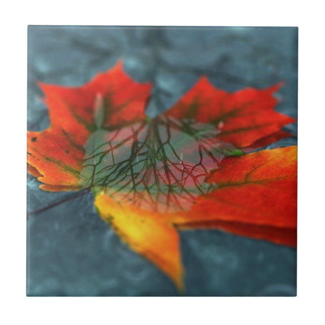 Retroreflecção Azulejo/Trivet Decorativo (Frente)