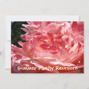 Reunião da Família de Verão! Rosas de Cartões