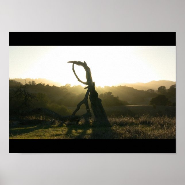 Revelação Mística - Poster (Frente)