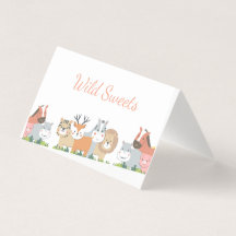 Revolução de Gênero na Selva - Chá de fraldas