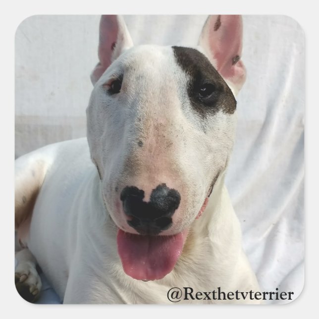 Rex O adesivo Terrier Da TV (Frente)