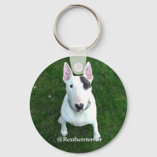 Rex o chaveiro da tevê Terrier