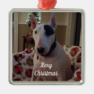 Rex O Enfeites de natal Sexy Da TV