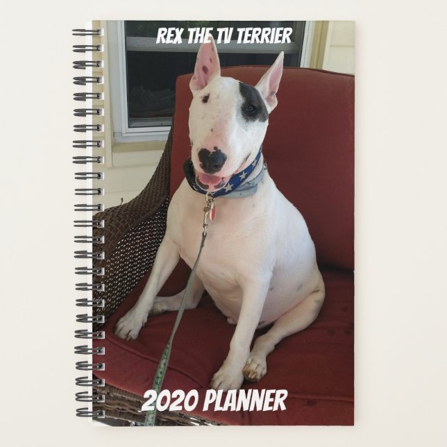 Rex O Planejador Terrier 2020 Da TV (Frente)