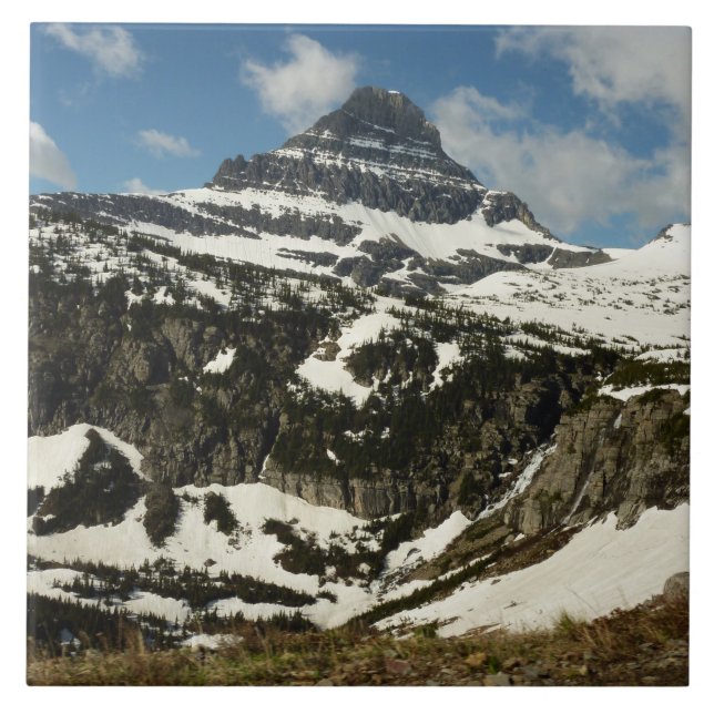 Reynolds Mountain do Logan Pass no Parque Glacier (Frente)