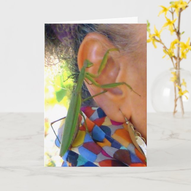 Rezando Mantis compartilha um cartão secreto (Flor Amarela)