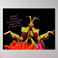 Rezando Mantis e Flores Brilhando e Poster Bonita