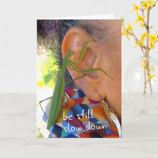 Rezando Mantis - fique quieto, devagar - cartão (Flor Amarela)