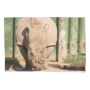 Rhino Branco