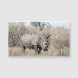 Rhino Branco