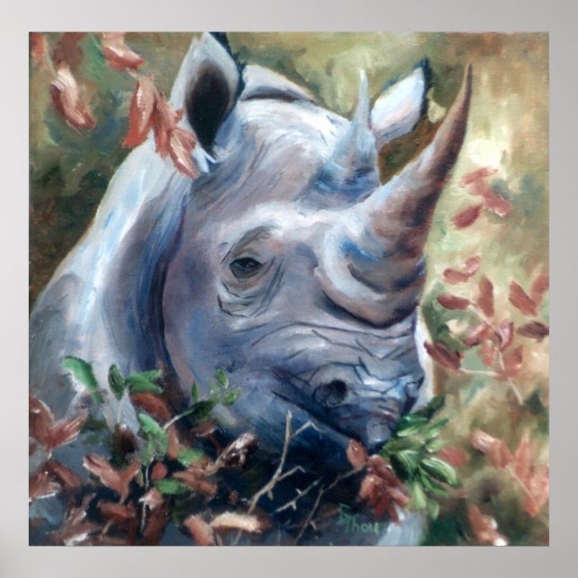 Rhino Poster (Frente)