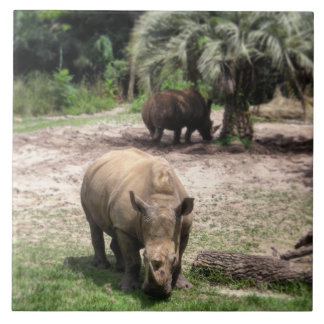 Rhinos no azulejo da foto do safari