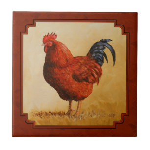 Rhode Island Chicken Red Background