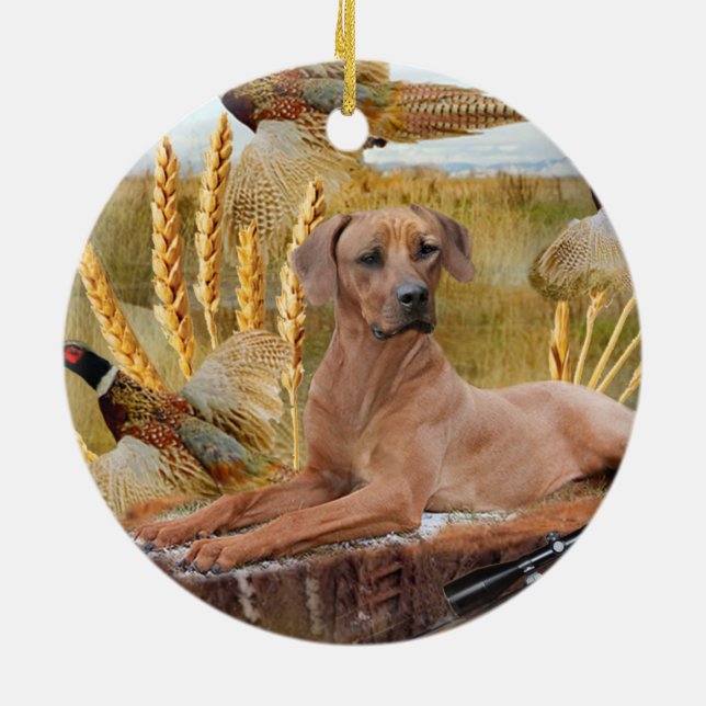 Rhodesian Ridgeback caça o ornamento (Traseira)