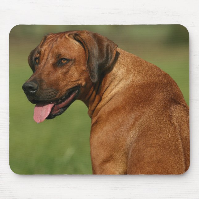 Rhodesian Ridgeback Mousepad (Frente)