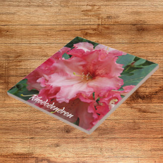 Rhododendron Bloom Rosa Floral