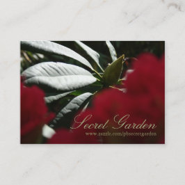 Rhododendron Floral Photoographic - Cartões de vis