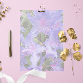 Rhododendrons roxos Papel de Carta Floral